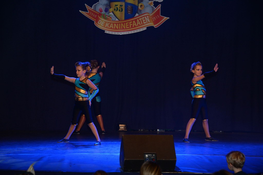 ../Images/Dansmarieke festival 2015 354.jpg